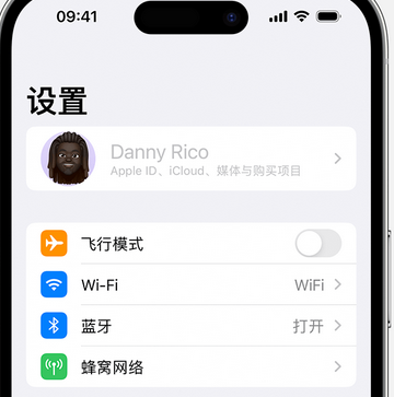 永安坝街道appleID维修服务iPhone设置中Apple ID显示为灰色无法使用 