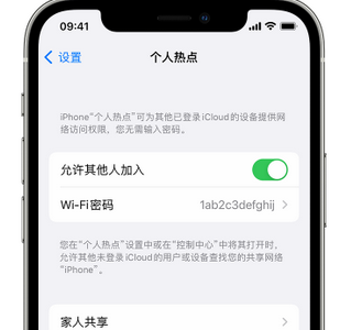 永安坝街道apple服务站点分享iPhone上个人热点丢失了怎么办 