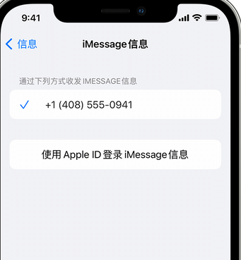 永安坝街道apple维修iPhone上无法正常发送iMessage信息 