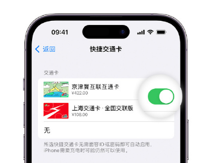 永安坝街道apple维修点分享iPhone上更换Apple Pay快捷交通卡手绘卡面 