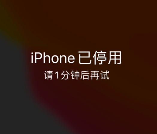 永安坝街道苹果手机维修分享:iPhone 显示“不可用”或“已停用”怎么办？还能保留数据吗？ 