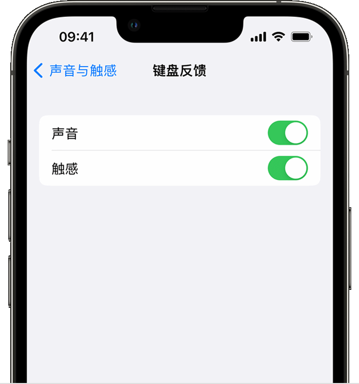 永安坝街道苹果14维修店分享如何在 iPhone 14 机型中使用触感键盘 