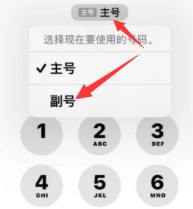 永安坝街道苹果14维修店分享iPhone 14 Pro Max使用副卡打电话的方法 