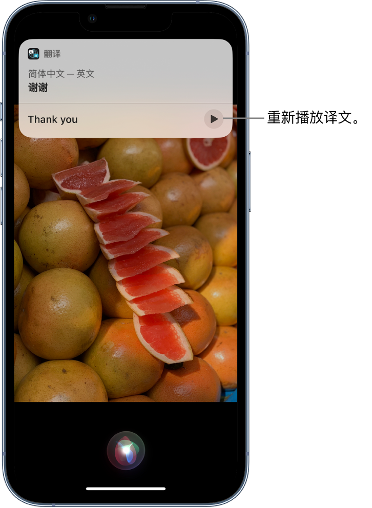 永安坝街道苹果14维修分享 iPhone 14 机型中使用 Siri：了解 Siri 能帮你做什么 