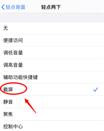 永安坝街道苹果手机维修分享iPhone12如何启用双击截屏 